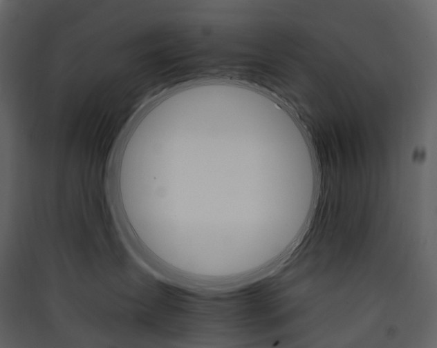 X0000089940431200707131457