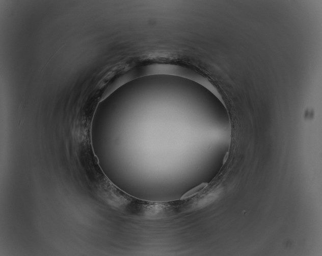 X0000089940432200707131457