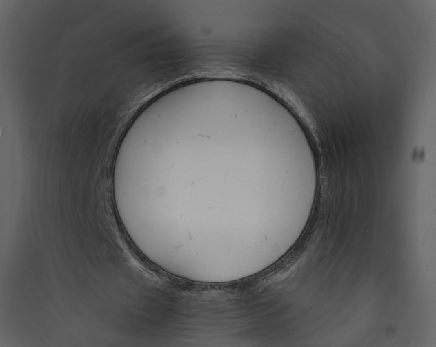 X0000089940433200707131457