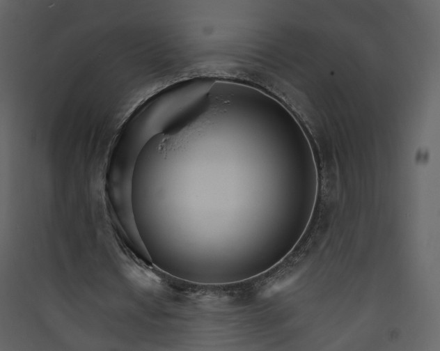 X0000089940434200707131457