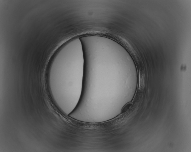 X0000089940435200707131457