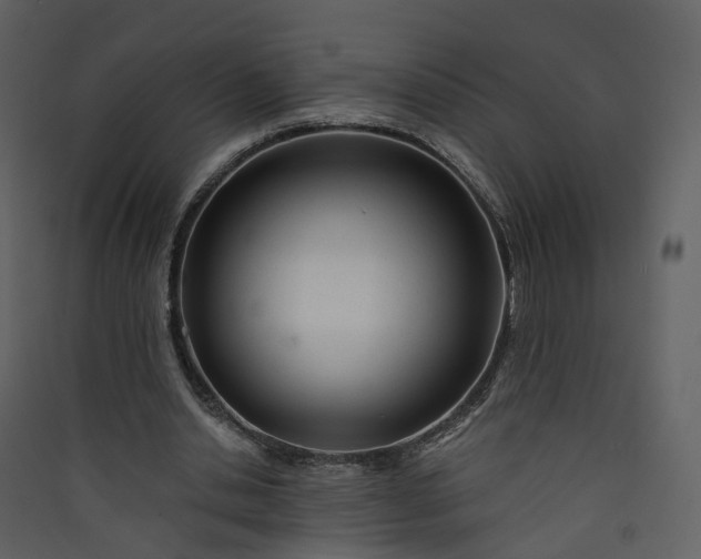 X0000089940438200707131457