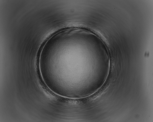 X0000089940439200707131457