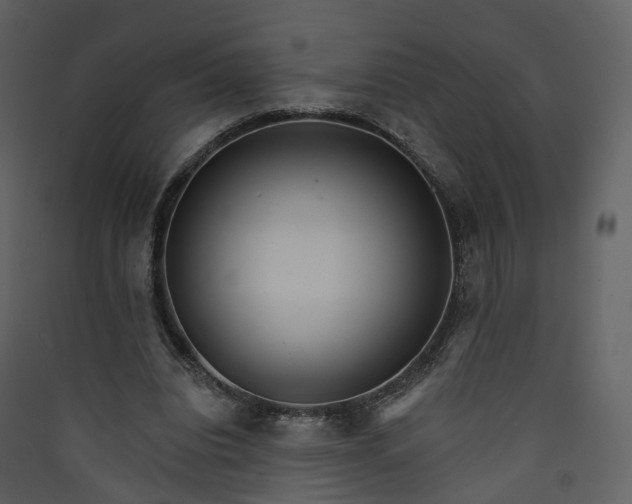 X0000089940440200707131457