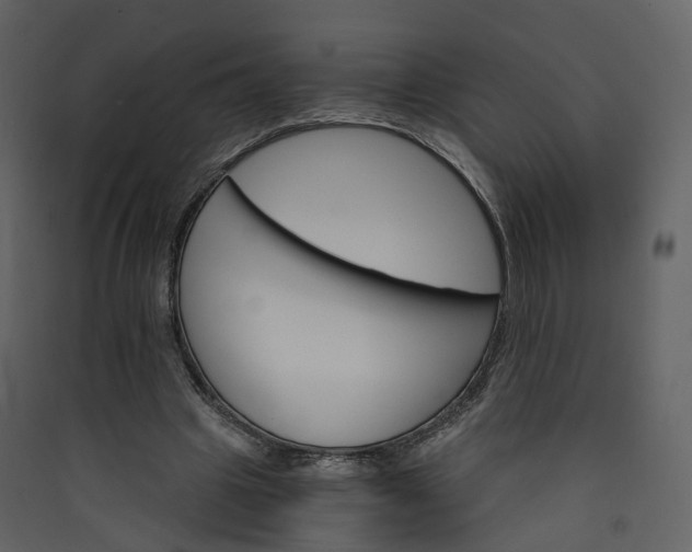 X0000089940441200707131457