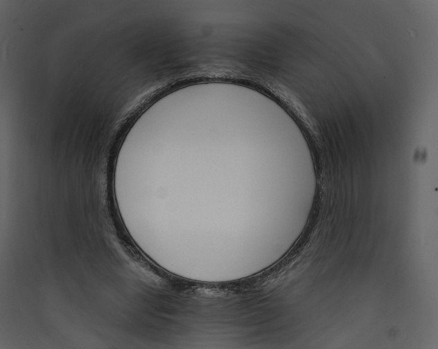 X0000089940442200707131457