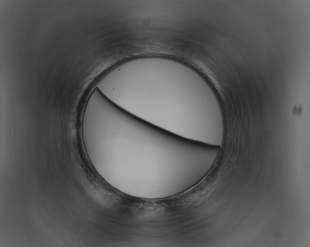 X0000089940443200707131457