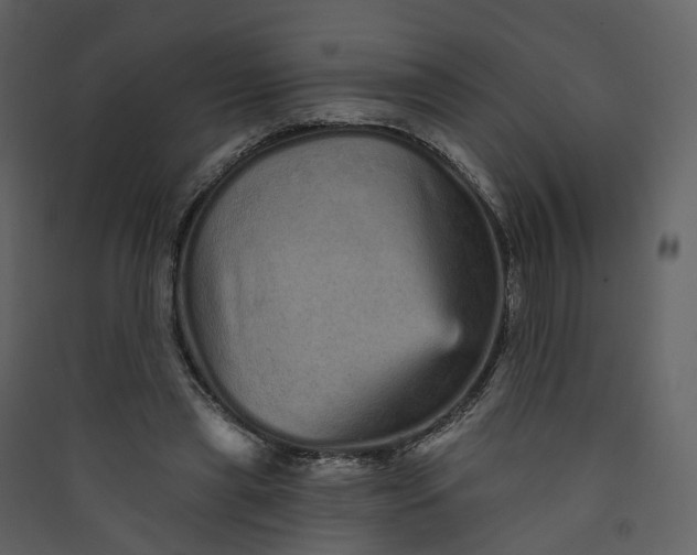 X0000089940445200707131457