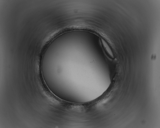 X0000089940446200707131457