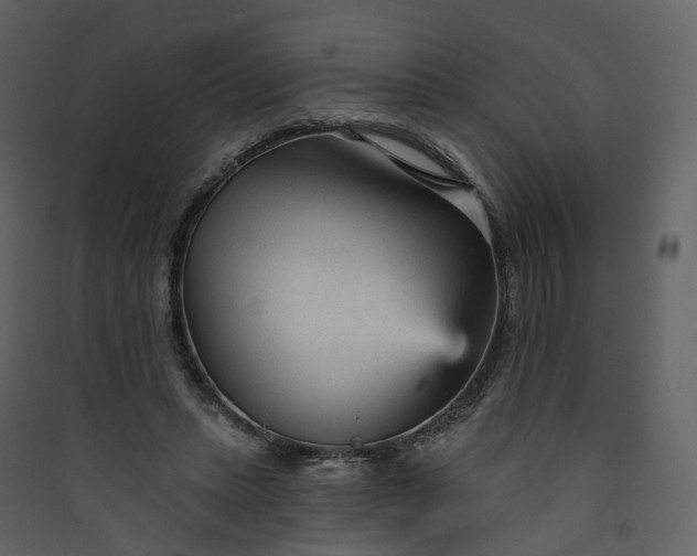 X0000089940447200707131457