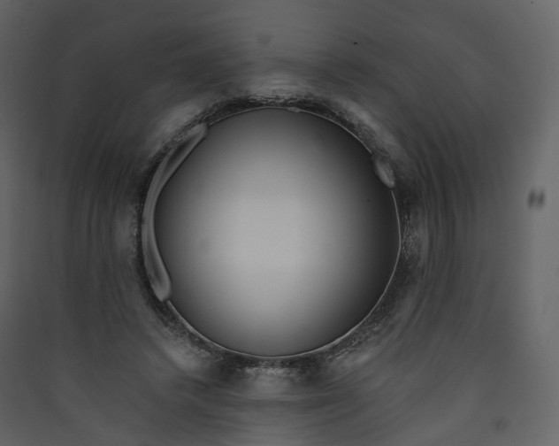 X0000089940448200707131457