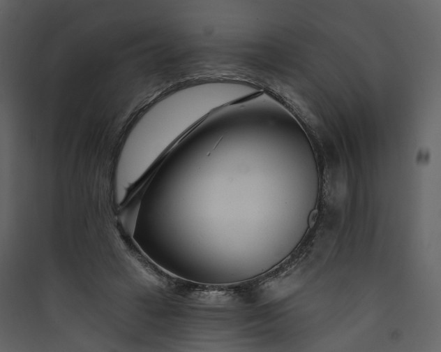 X0000089940449200707131457