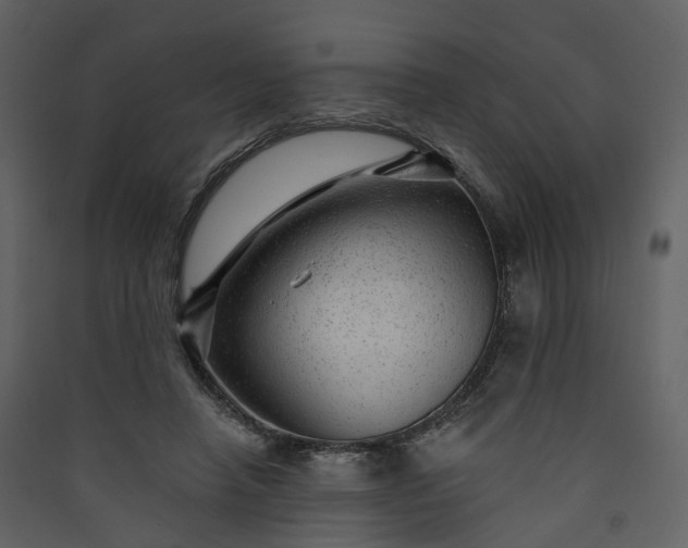 X0000089940450200707131457