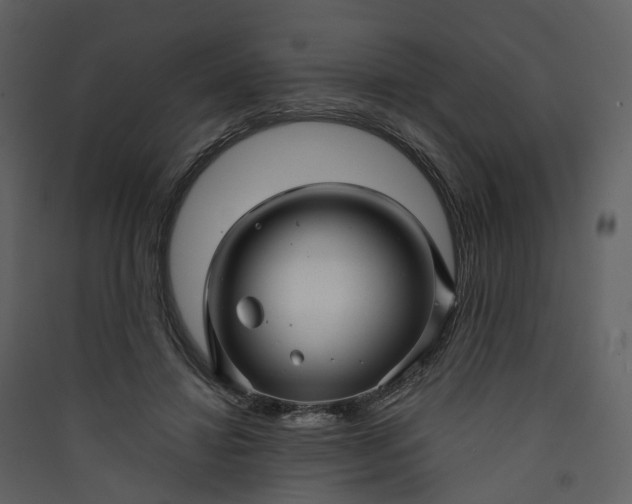 X0000089940452200707131457