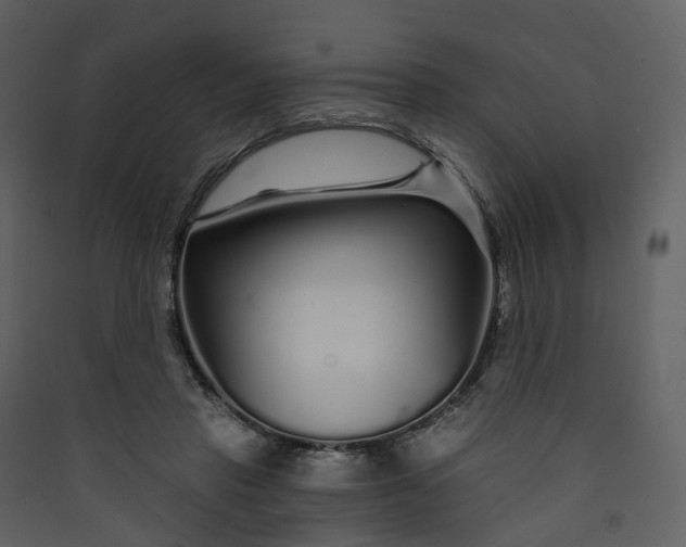 X0000089940453200707131457