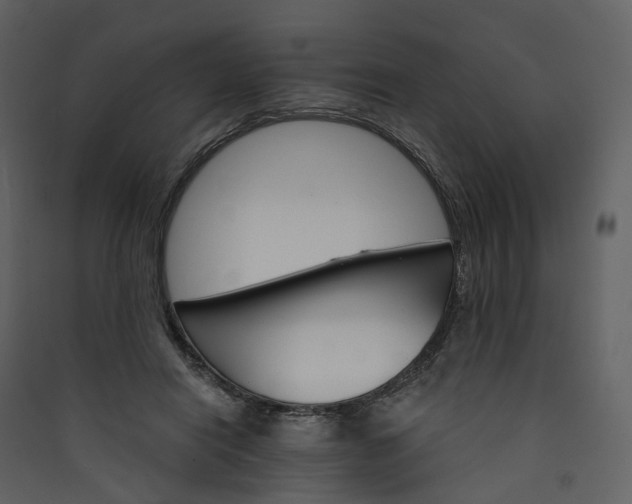 X0000089940454200707131457