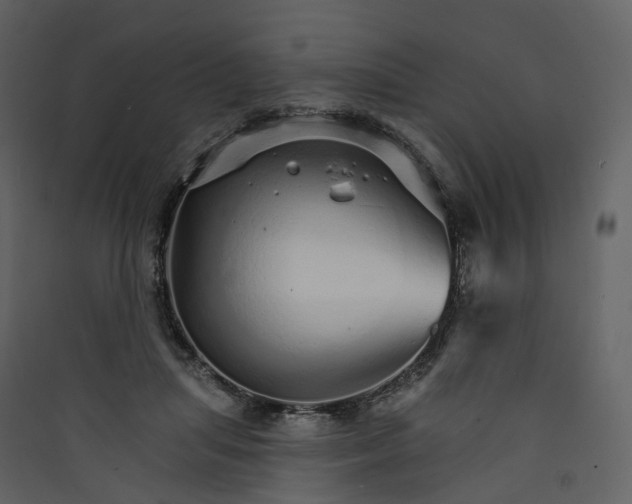 X0000089940455200707131457