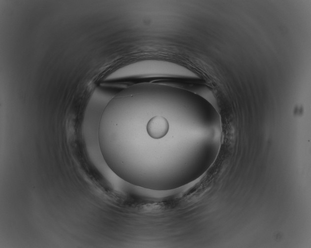 X0000089940456200707131457