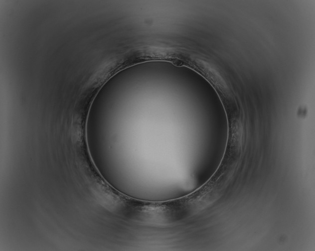 X0000089940457200707131457