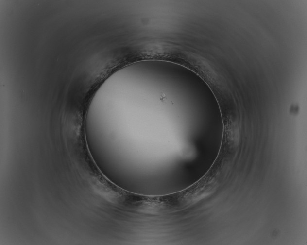 X0000089940458200707131457