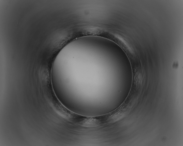 X0000089940459200707131457