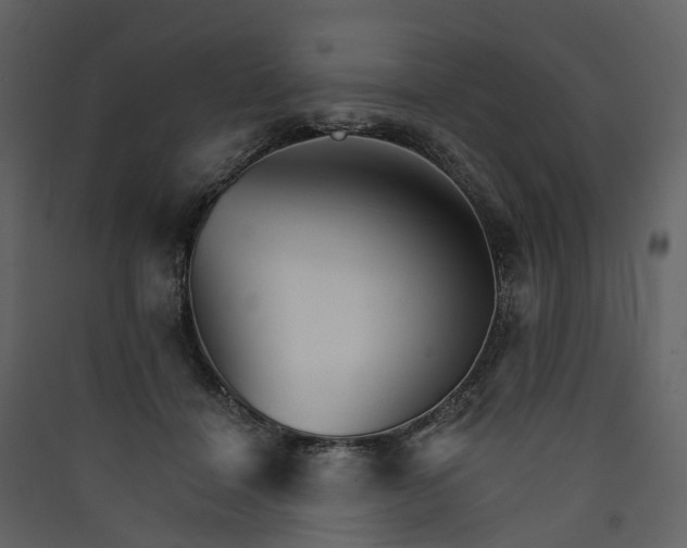 X0000089940460200707131457