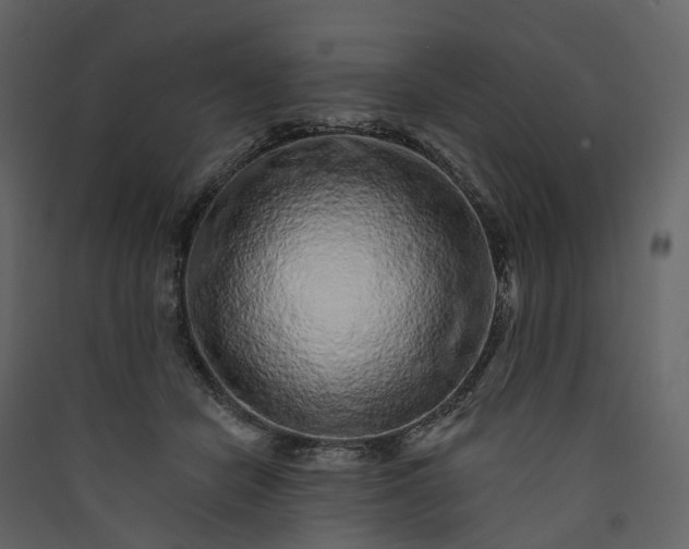 X0000089940462200707131457