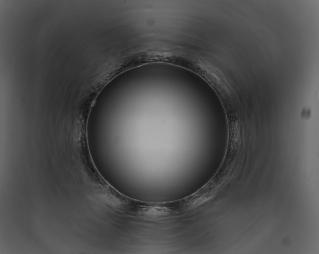 X0000089940463200707131457