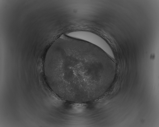 X0000089940465200707131457