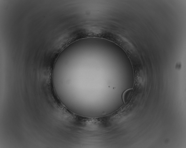 X0000089940468200707131457