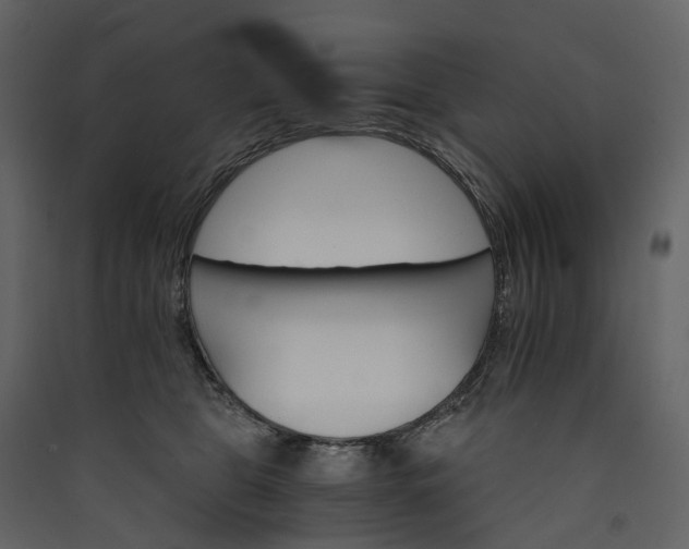 X0000089940469200707131457