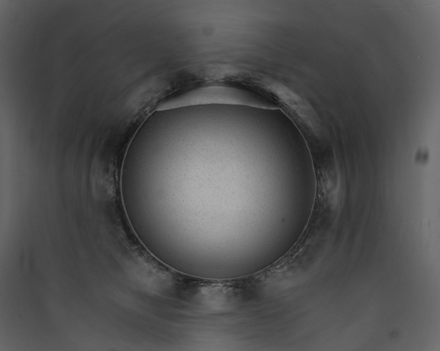 X0000089940470200707131457