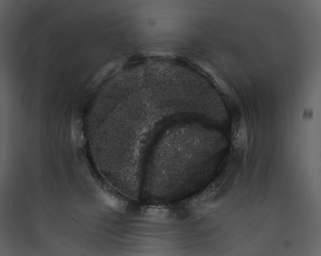 X0000089940471200707131457