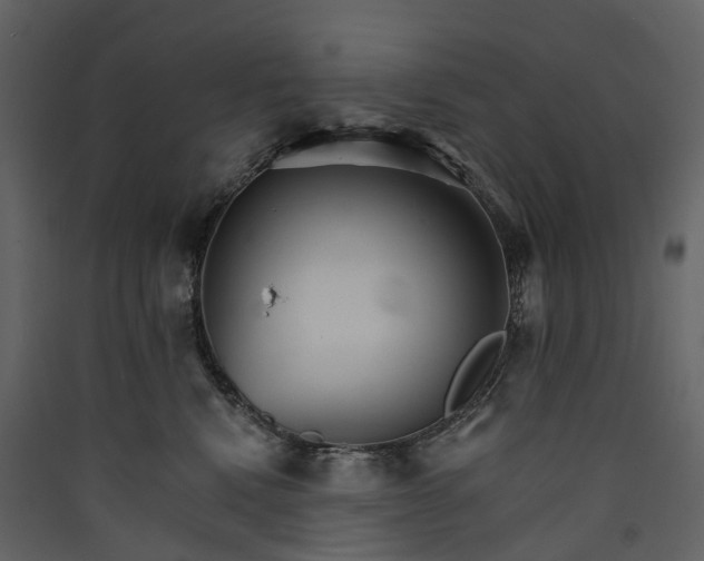 X0000089940472200707131457