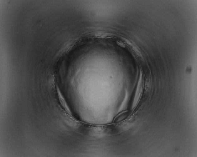 X0000089940473200707131457