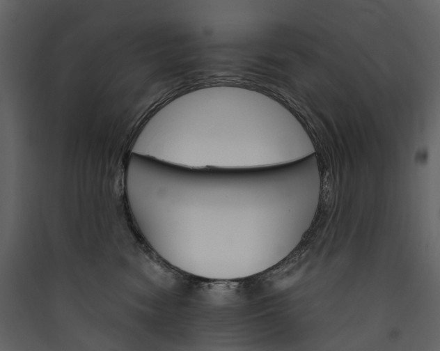 X0000089940474200707131457