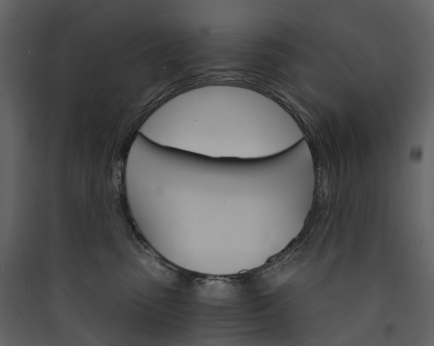 X0000089940475200707131457