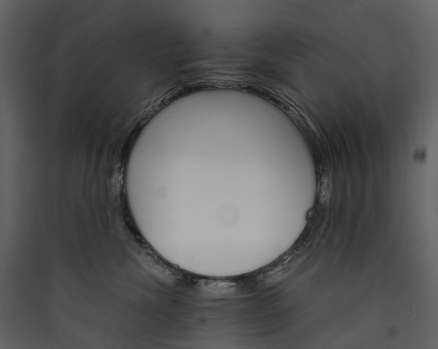 X0000089940476200707131457