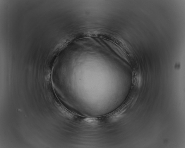 X0000089940477200707131457