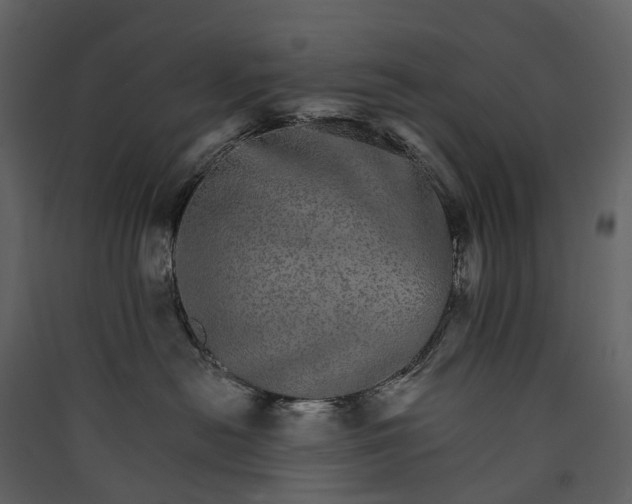 X0000089940478200707131457