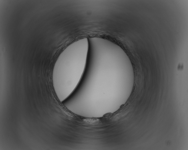 X0000089940480200707131457