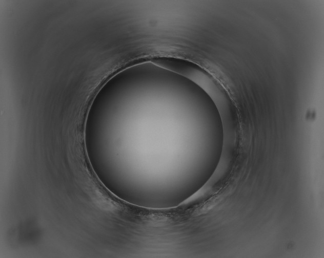 X0000089940481200707131457