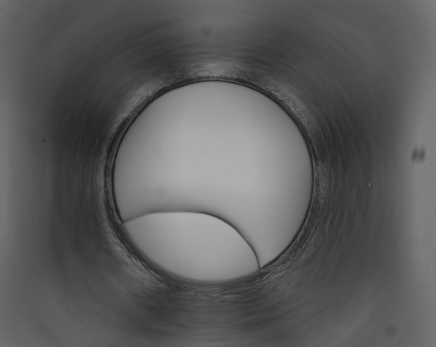 X0000089940482200707131457