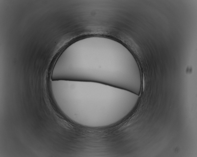 X0000089940483200707131457