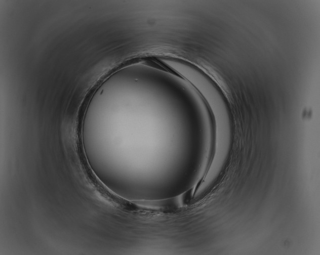 X0000089940485200707131457