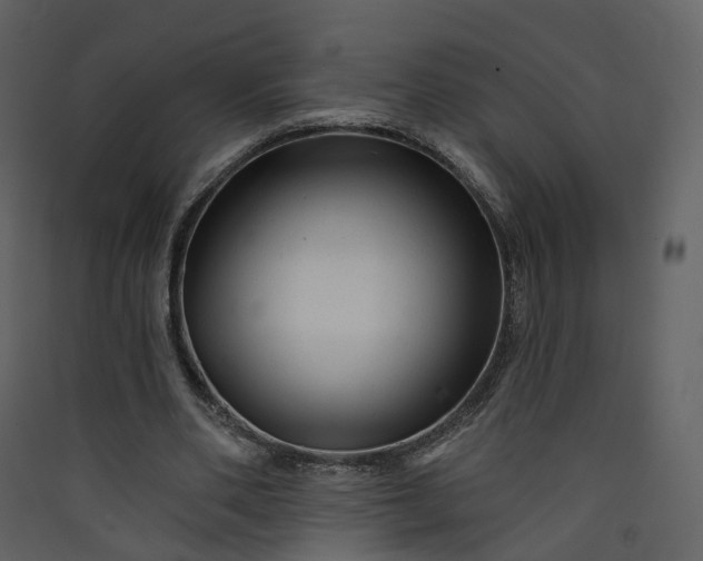 X0000089940486200707131457