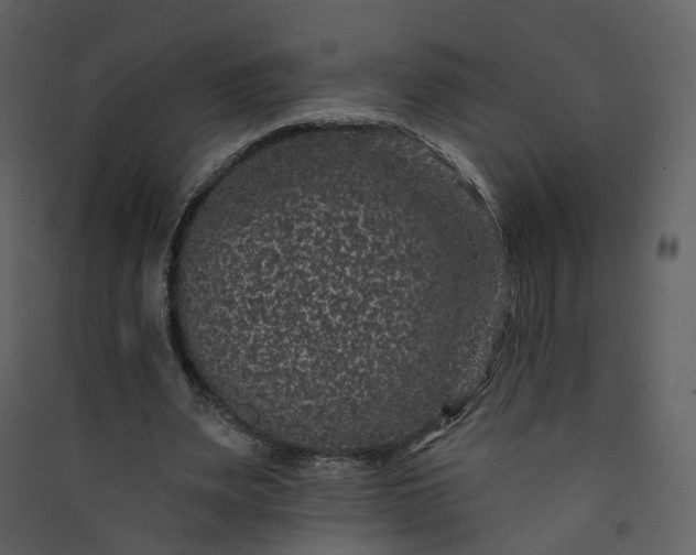 X0000089940487200707131457