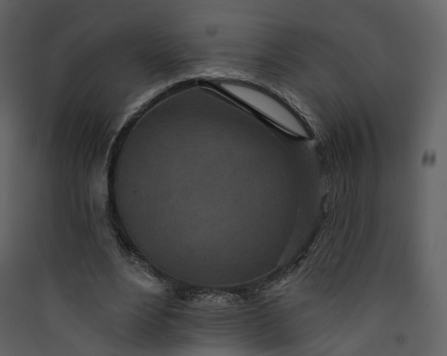 X0000089940488200707131457