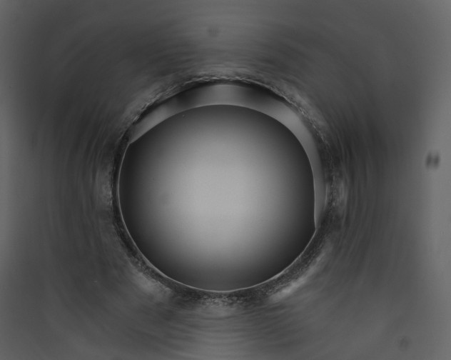 X0000089940489200707131457