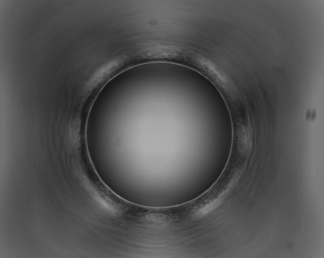 X0000089940490200707131457